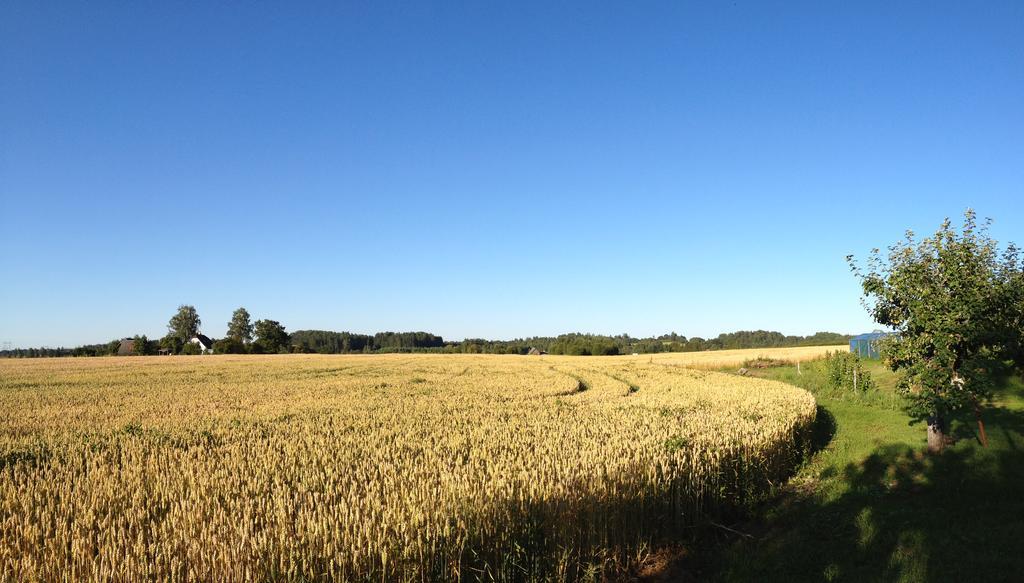 Sepa Talu Pension Aakre Buitenkant foto