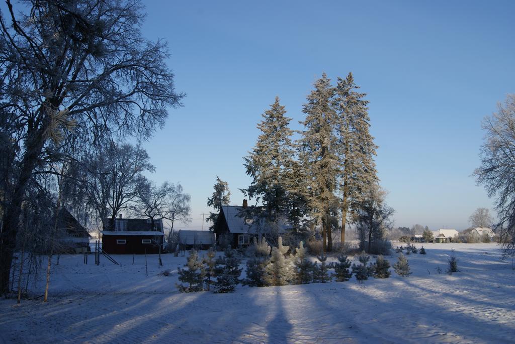 Sepa Talu Pension Aakre Buitenkant foto